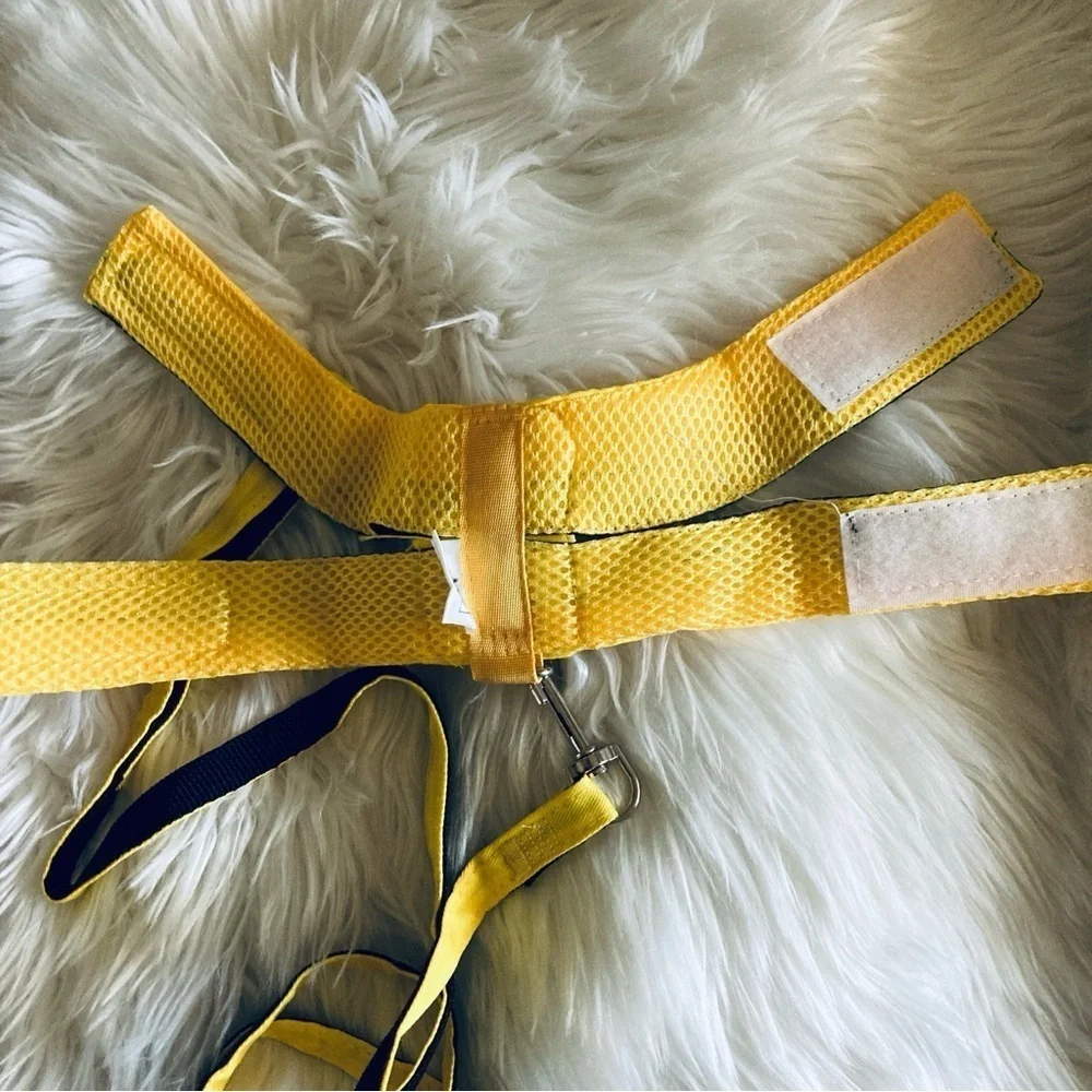 Bundle of Small Dog/Cat Harnesses & Collars